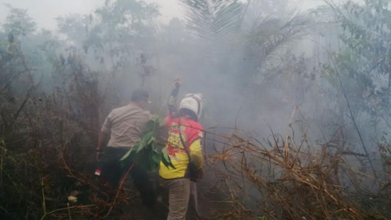 BNPB: Hampir Seluruh Langit Indonesia Tertutup Asap, Kecuali 7 Daerah