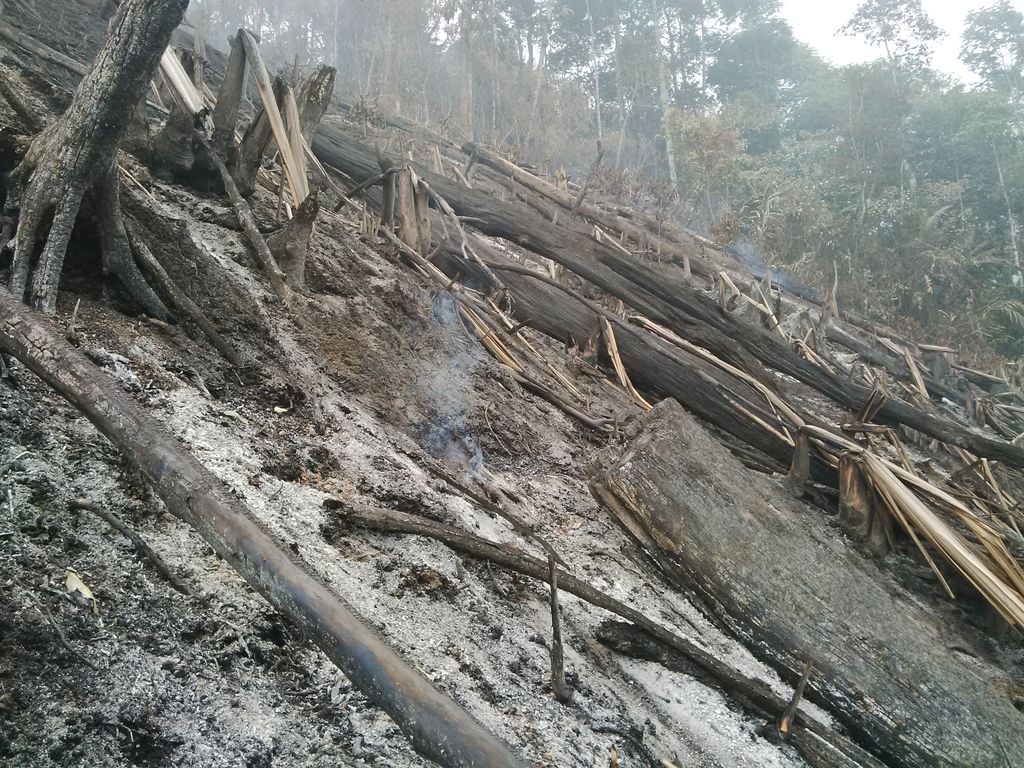 &#91;UFO Nyungsep&#93;Tak Ditemukan Serpihan Benda Asing di Bengkulu (penampakan)