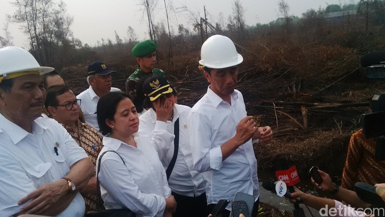 Jokowi: Semua Lahan Gambut yang Rawan Terbakar Akan Dibuat Kanal Bersekat
