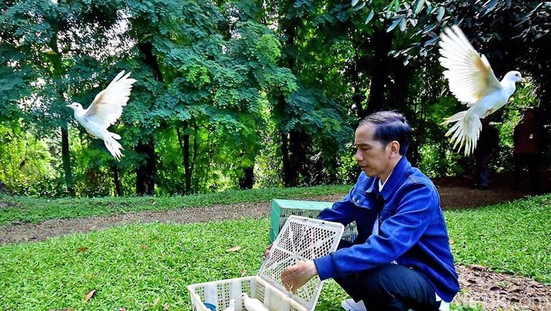 Ini Penampakan Burung-burung yang Dilepas Jokowi di Kebun Raya Bogor