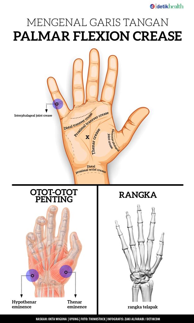 Asal muasal garis tangan