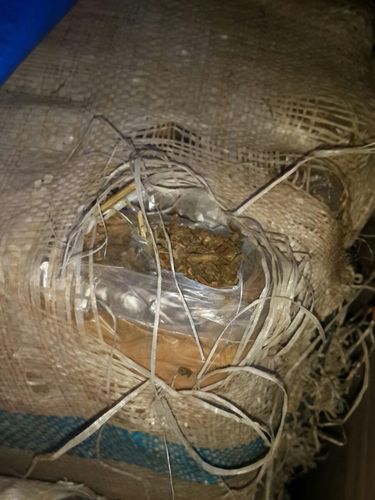 Truk muatan 1 Ton Ganja berhasil disergap BNN di Sukabumi