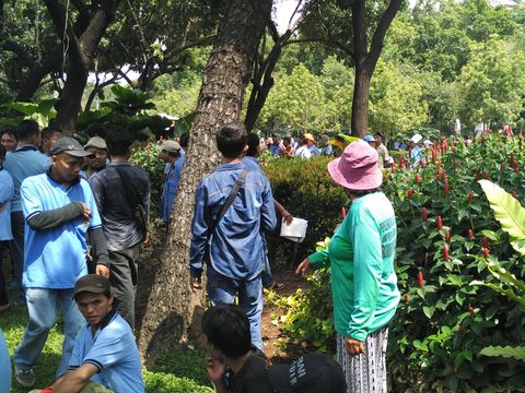  Emosi Bu Tuti Kepada Pendemo: Jangan Injak Tanaman, Saya Capek Ngerawatnya!