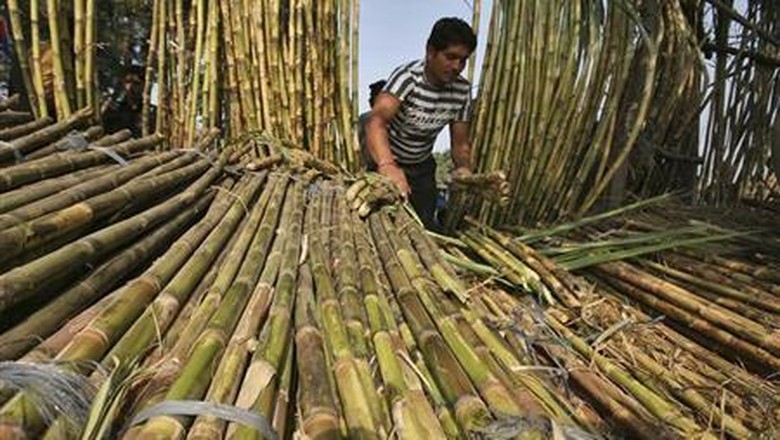 Fakta Menarik Tentang Rum