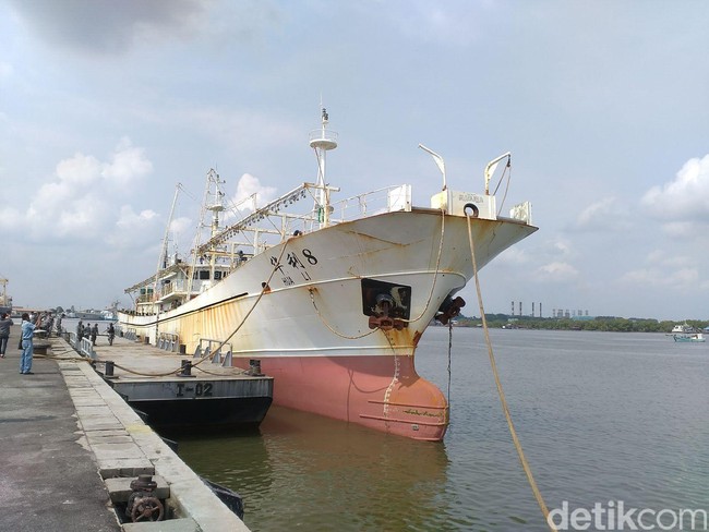 Lolos dari Argentina, Kapal Pengangkut Cumi ini Ditangkap TNI AL