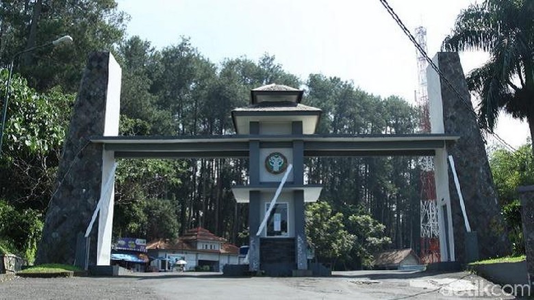 Soal Kafe di Tahura Juanda, Wagub Deddy: Tertibkan Segera Mungkin!