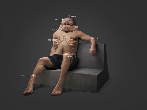 Model Manusia dengan 'Tubuh Ideal' untuk Selamat dari Kecelakaan