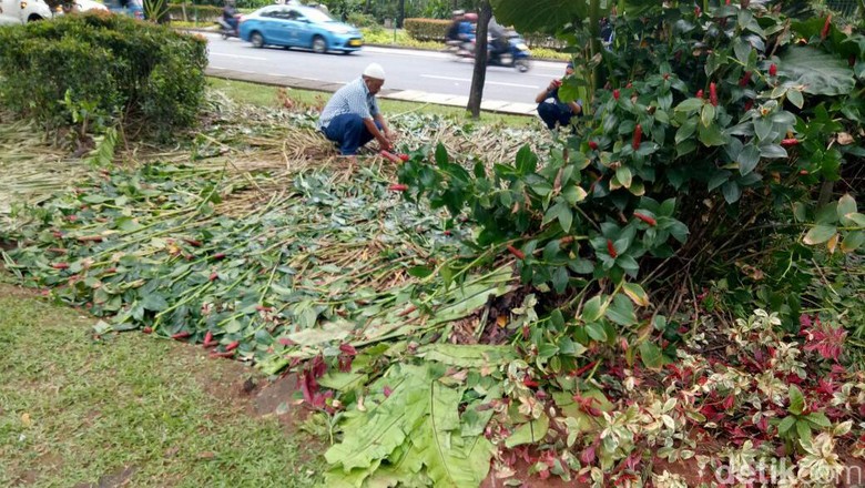 taman-depan-balai-kota-rusak-berat-ahok-apa-pernah-mereka-tanggung-jawab