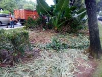 Taman Depan Balai Kota Rusak Berat, Ahok: Apa Pernah Mereka Tanggung Jawab ?