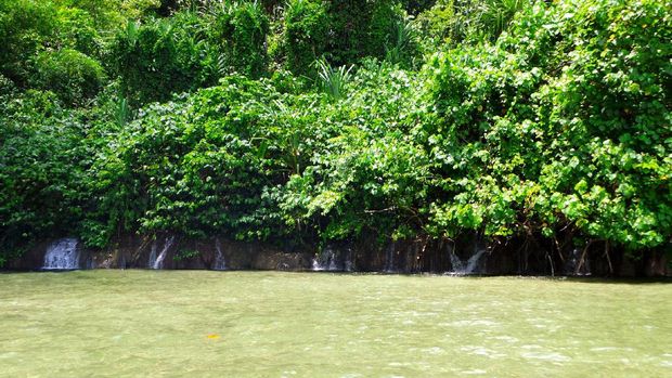 Air Terjun Araway, Raja Ampat: Air Terjun Mini yang Terjun Langsung ke Laut