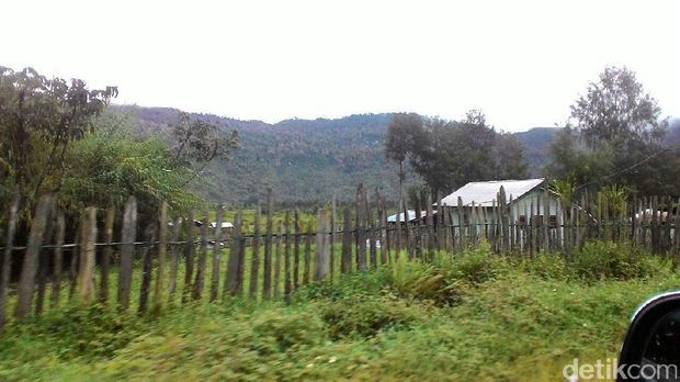 Mengintip Suasana Pedalaman Papua Setelah Listrik Menyala