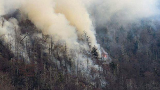 Kebakaran Hutan di AS, 7 Orang Tewas