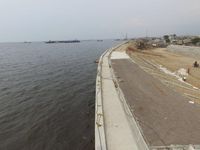 Permukaan Tanah Turun 12 Cm/Tahun, Tanggul Pantai Jakarta Jadi Prioritas