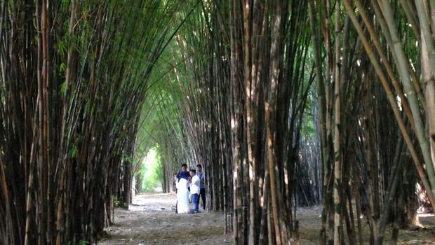 Dikira di Jepang, Tahunya Ini Hutan Bambu di Surabaya Rek!