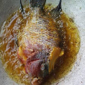 Mau Tahu Rasa Ikan Louhan? Ini Kata Pria yang Goreng Ikan Louhan Seharga Rp 9 Juta