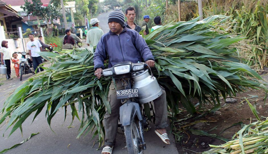 Foto-foto Sekitar Lalu Lintas Indonesia &#91;Unik, Lucu, Ngebingungin&#93;