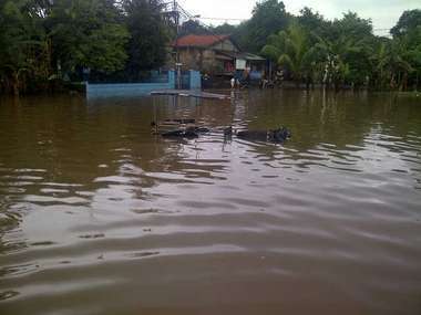 Kuda Sempat Ngamuk Saat Kusir Terjang Banjir Lalu Tewas Hanyut di Petukangan