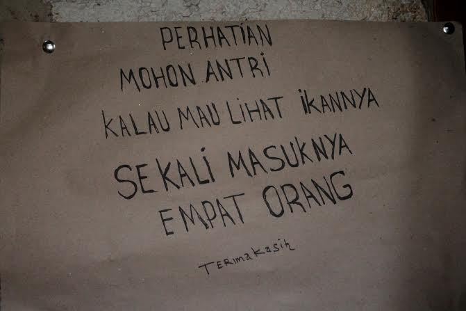 Untuk Lihat Ikan Batu, Warga Harus Ucap Kalimat Syahadat Tiga Kali