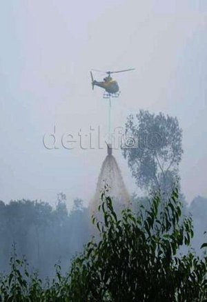 66 Orang Jadi Tersangka Pembalakan dan Pembakar Lahan di Riau