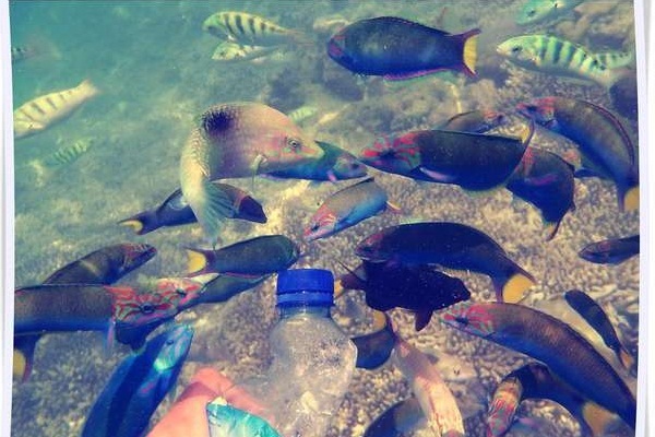 6 Spot Snorkeling di Indonesia Favorit Traveler