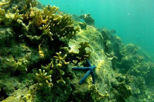 6 Spot Snorkeling di Indonesia Favorit Traveler