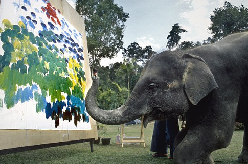 lukisan-karya-gajah-dijual-rp-26-juta