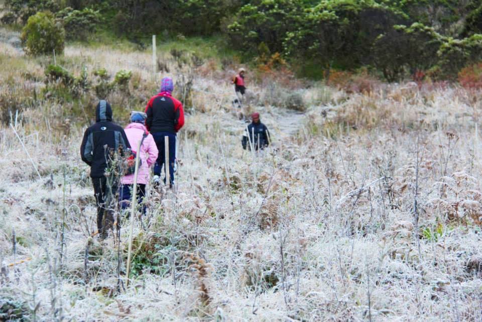Mau Lihat Bunga Es di Lereng Semeru? Ini Saatnya!
