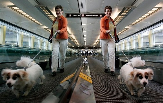 Kelakuan-Kelakuan Turis yang Paling Menyebalkan di Bandara &#91;Don't Try This!&#93;