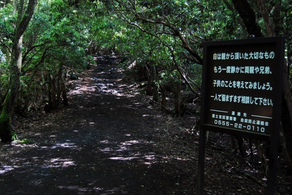 Fakta Aokigahara, Hutan Bunuh Diri di Jepang