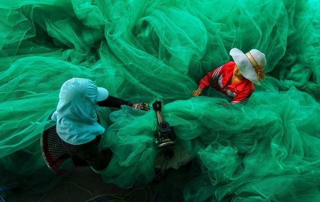 Deretan Foto Memukau Finalis Smithsonian