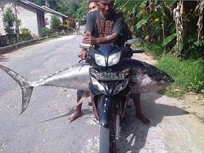 &#91;Pencapaian&#93; Menteri Susi Pamer Foto Tuna 'Raksasa' yang Ditangkap Nelayan Lokal