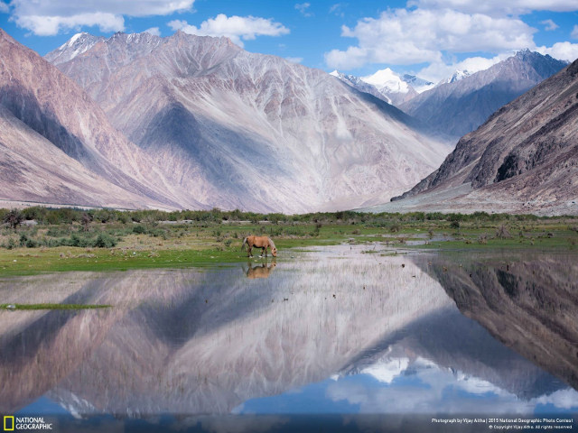 Jepretan CIAMIK Kontestan National Geographic yang Menyihir Mata gan!!!