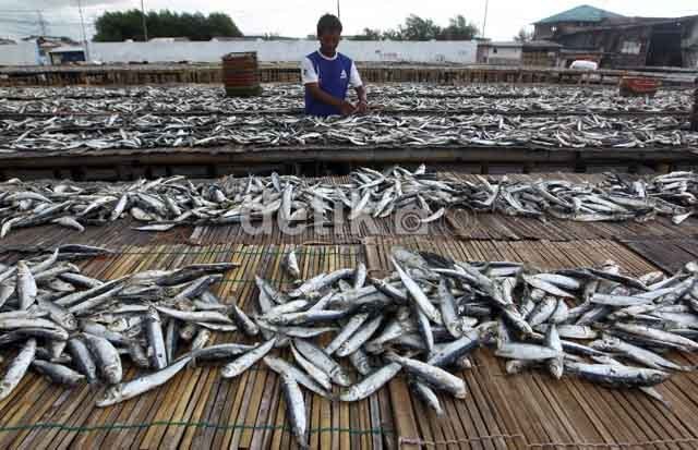RI Masih Rajin Impor Ikan Teri Dari Negara-negara Ini