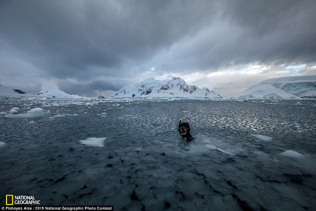 Jepretan Memukau Kontestan NatGeo 2015