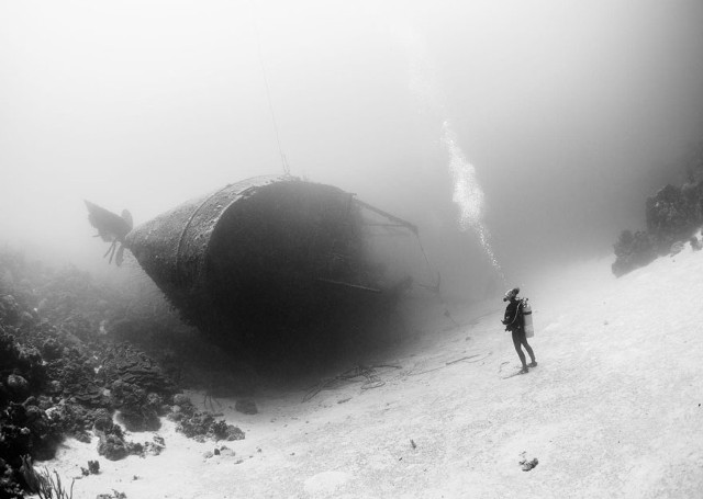 Deretan Foto Terbaik National Geographic Tahun 2015