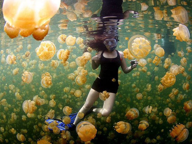 Deretan Foto Terbaik National Geographic Tahun 2015