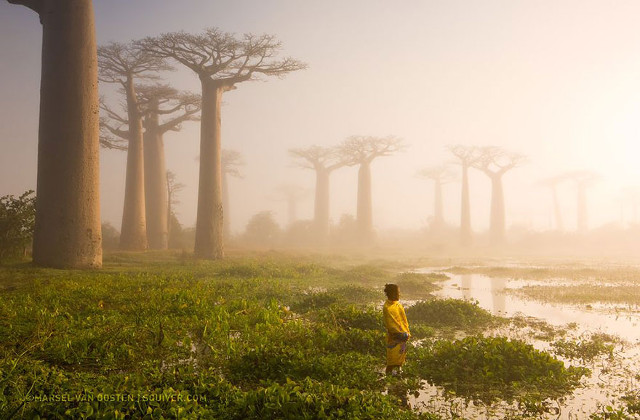 Deretan Foto Terbaik National Geographic Tahun 2015