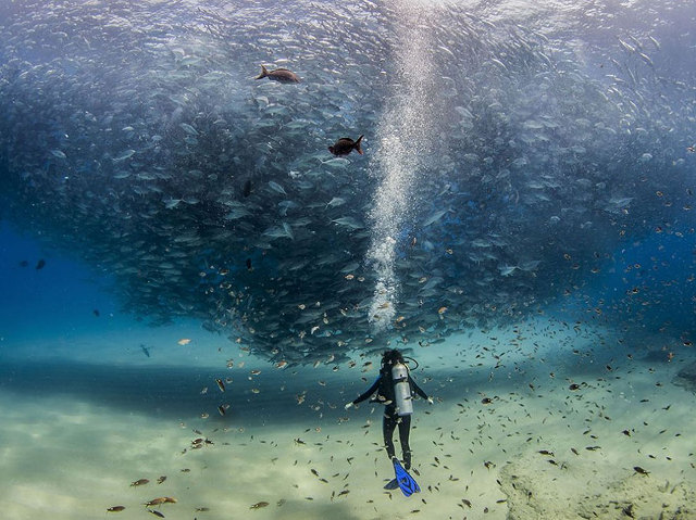 Deretan Foto Terbaik National Geographic Tahun 2015