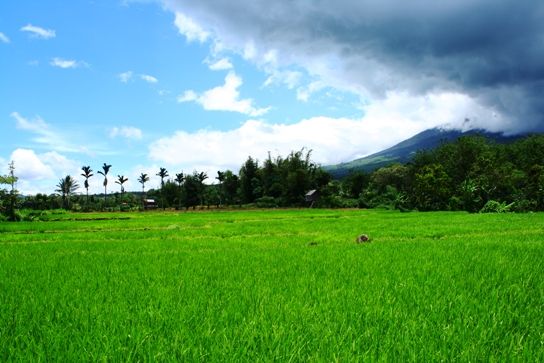 8 Hal yang Dapat Ditiru dari Kopenhagen, Ibukota Hijau Eropa 2014