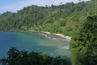 Pantai Sipelot, Pantai di Malang yang Layak Dikunjungi