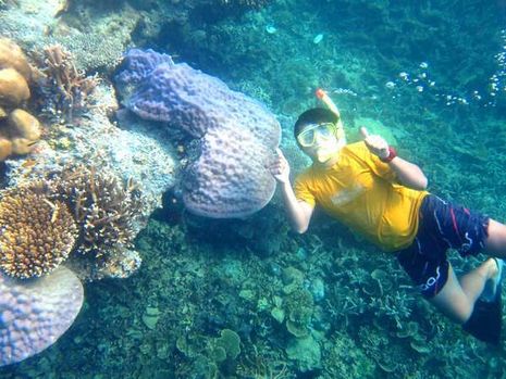 Tempat Snorkeling &amp; Diving Paling Top di Kep Seribu