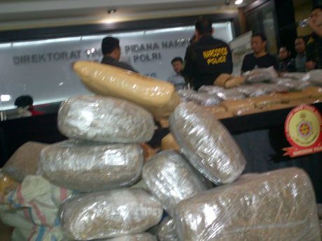 Seratusan Kilogram Ganja Aceh Sudah Beredar di Sekitar Kampus UI dan UP 