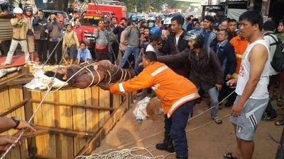 Galian Kabel di Cibubur Memakan Korban Pemotor, Siapa Harus Disalahkan?