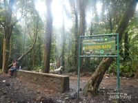9 Pos Yang Agan Harus Lewati Kalo Mau Ke Gunung Gede Via Jalur Cibodas