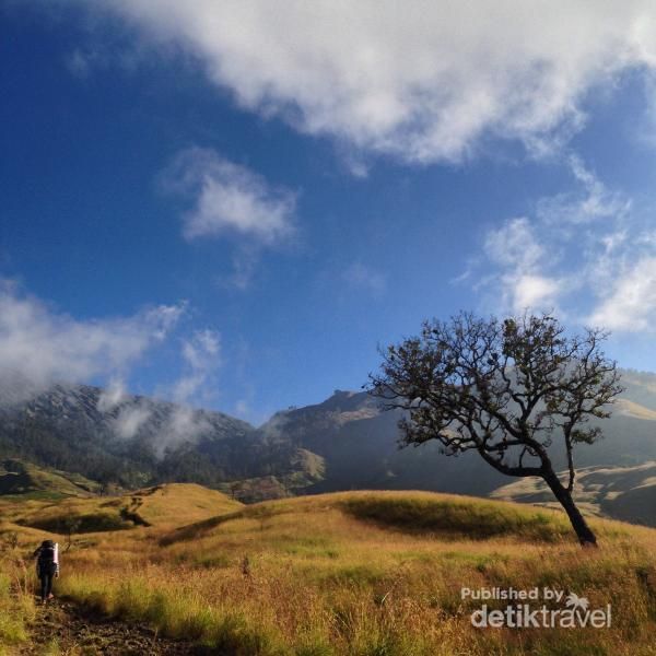 Ini Dia Aksi Bule Membersihkan Sampah Di Gunung Rinjani 