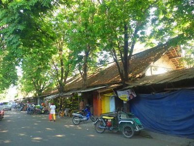 Ini Penampakan Rel 'Mati' Terbengkalai di Pinggir Jalan