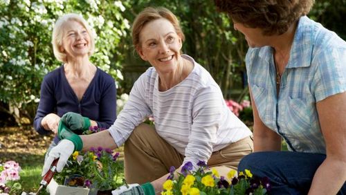 Yuk Berkebun! Ini Manfaatnya untuk Kesehatan Fisik dan Mental