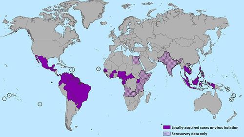 Virus Zika, Virus yang Sedang Hitz Awal 2016