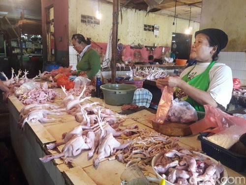 Harga Ayam Masih Tinggi Rp 40.000/Ekor, Ini Penjelasan Peternak