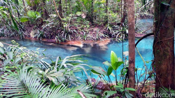 Foto-foto Kejernihan Perairan di Indonesia